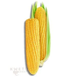 Fresh Maize